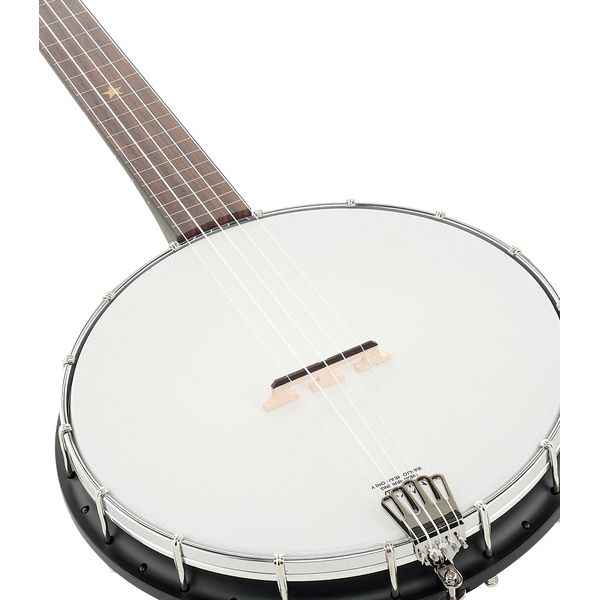 Gold Tone AC-1FL Open Back Fretless