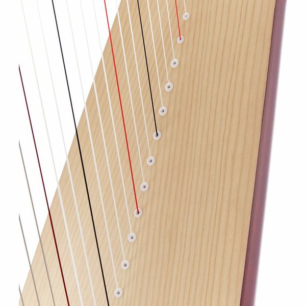 Salvi Titan Mahogany Spario Biocarb.