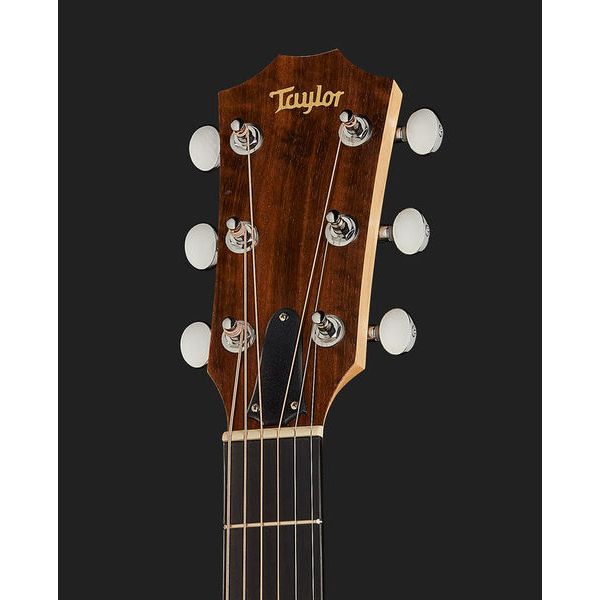 Taylor Big Baby Taylor BBTe