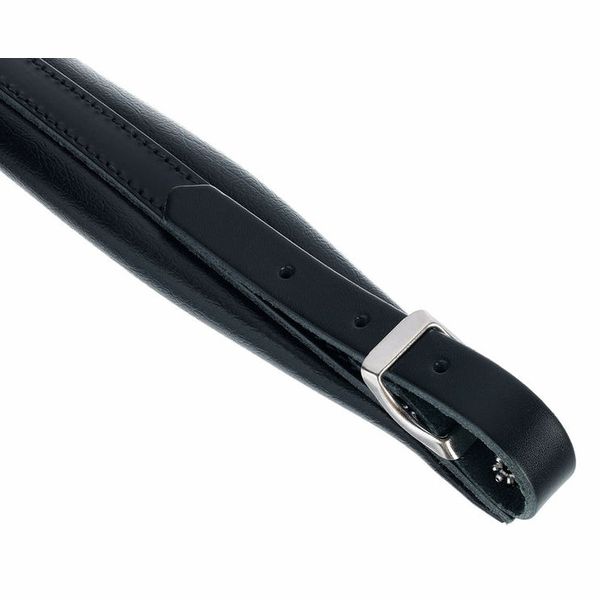 Thomann 45 Pro Accordion L Vinyl