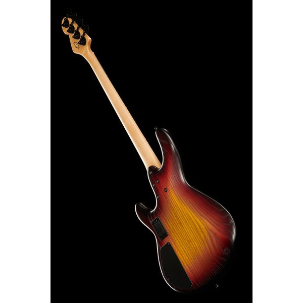 Sandberg Panther Special 4 3TS