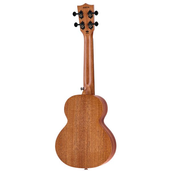 Flight NUC500 Concert