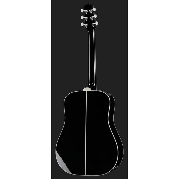 Takamine FT341