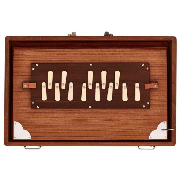 Thomann Nataraj Prof. Shruti C-C Med.