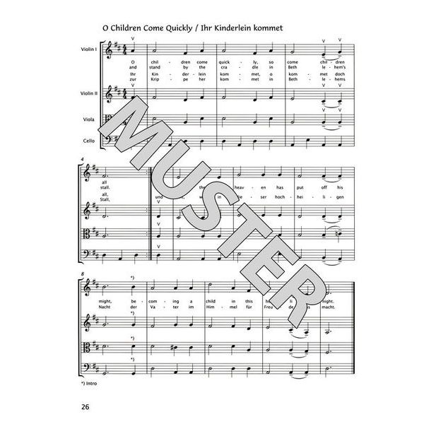 Brenreiter Samannshaus Christmas String