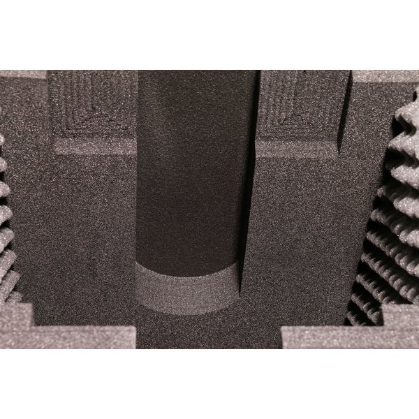 Thon Case 2x Stairville B1R Beam