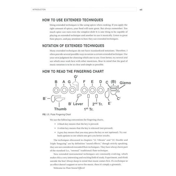 Berklee Press Flute Sound Effects