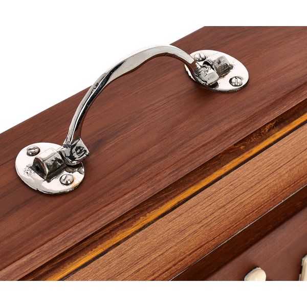 Thomann Nataraj Prof. Shruti Box G-G