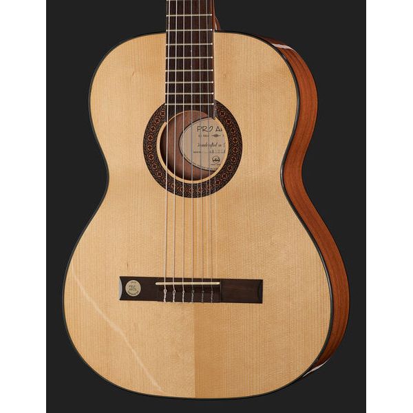 Gewa Pro Arte GC100A