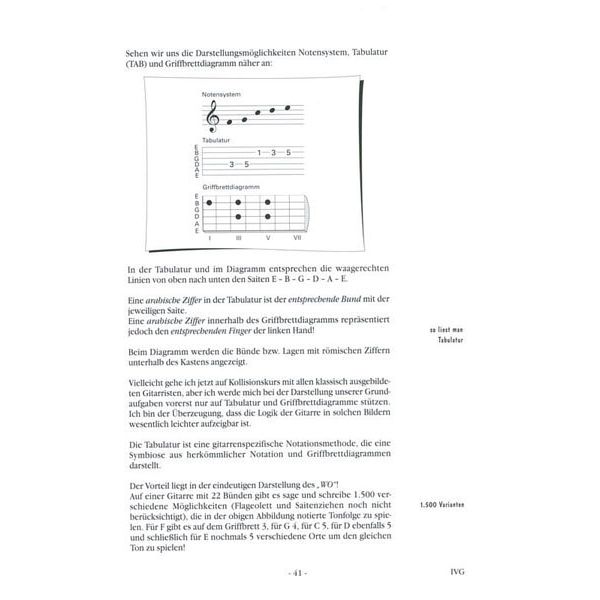 Voggenreiter In Vivo Guitar