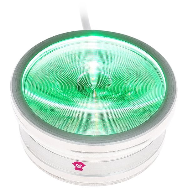 Ape Labs ApeCoin V2 USB