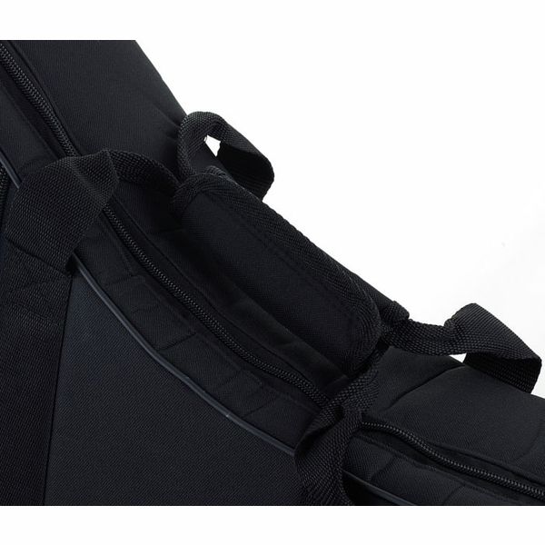 Antonio Pinto Carvalho Fado Guitar Lisboa Case