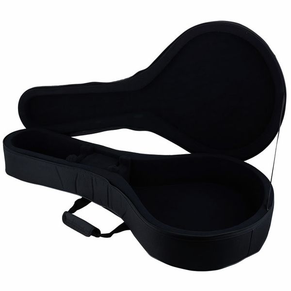 Antonio Pinto Carvalho Fado Guitar Coimbra Case