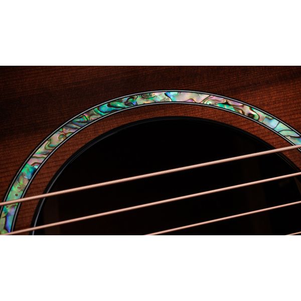 Taylor PS14ce Figured Urban Ironback