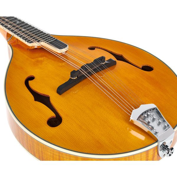 Richwood RMA-110-VS A-Style