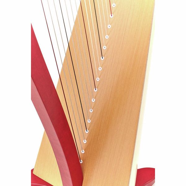 Lyon & Healy Drake LT Lever Harp Bu & Na