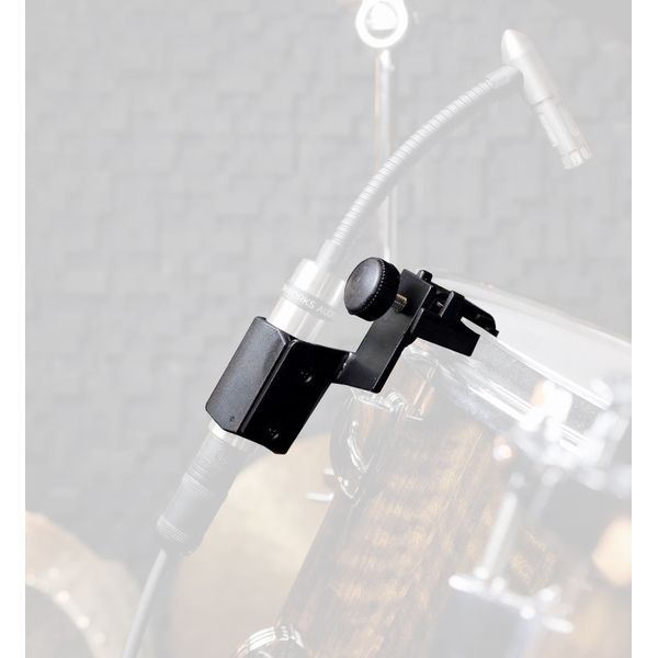 Earthworks Audio RM2