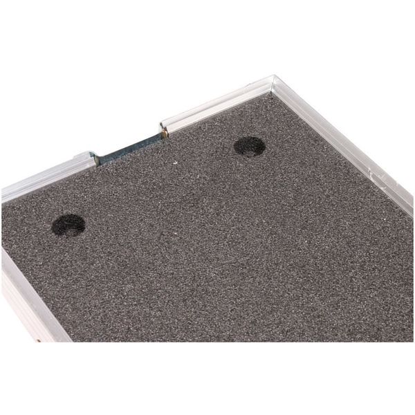 Thon Amp Case Revv G20