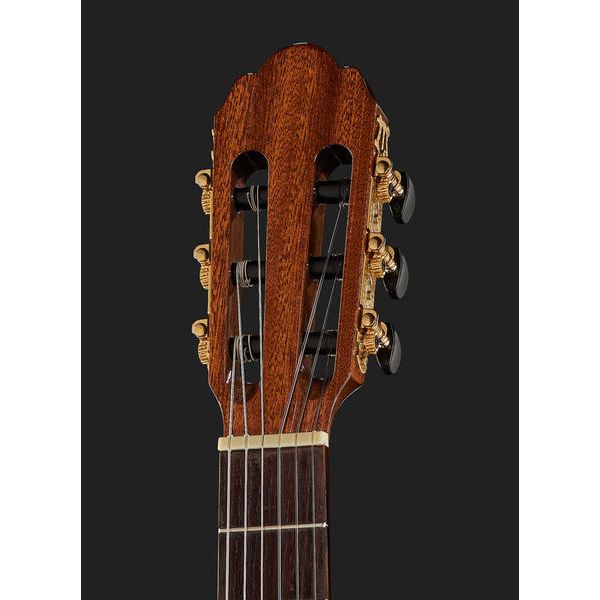 Gewa Pro Arte GC100A