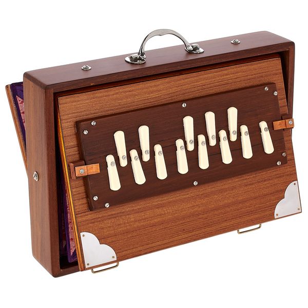 Thomann Nataraj Prof. Shruti C-C Small