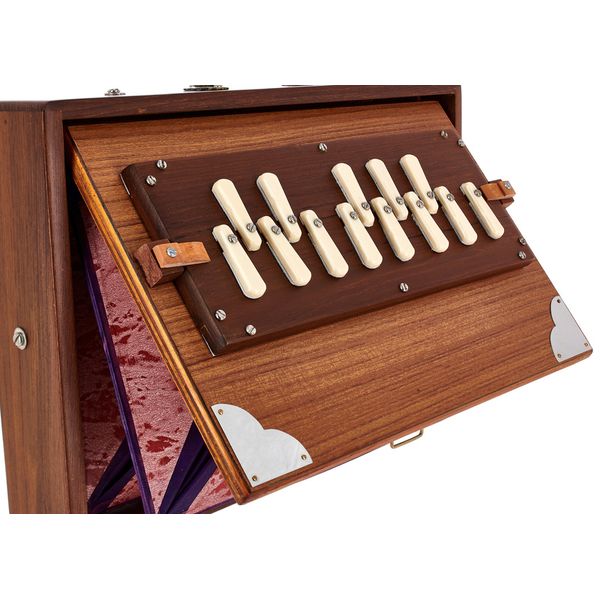 Thomann Nataraj Prof. Shruti C-C Small