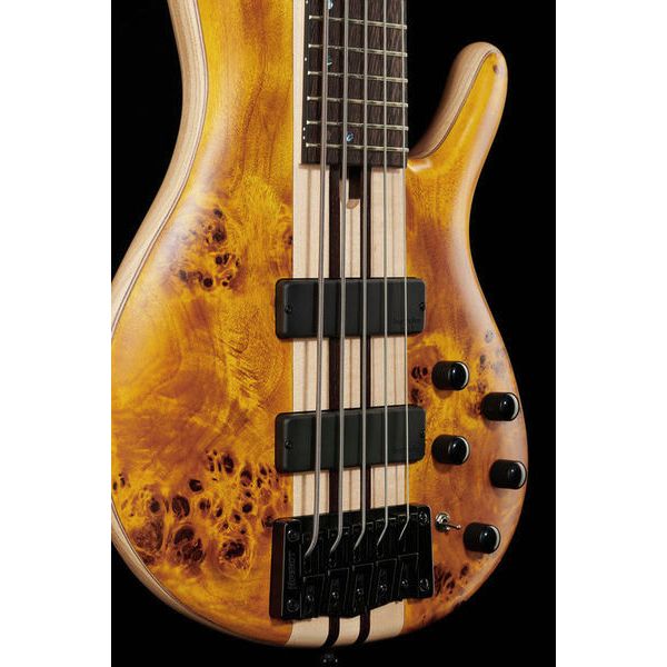 Cort A5 Plus SC Amber Open Pore