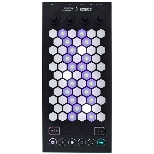 Intuitive Instruments Exquis