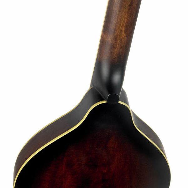 Gold Tone A-6 Mando Guitar TS