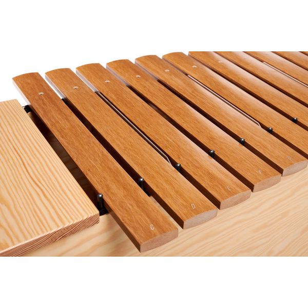 Studio 49 BXG2000 Bass Xylophone