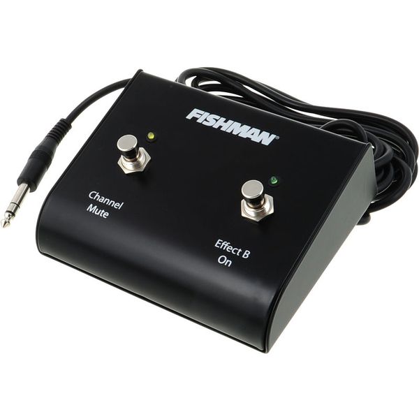 Fishman Dual Foot Switch
