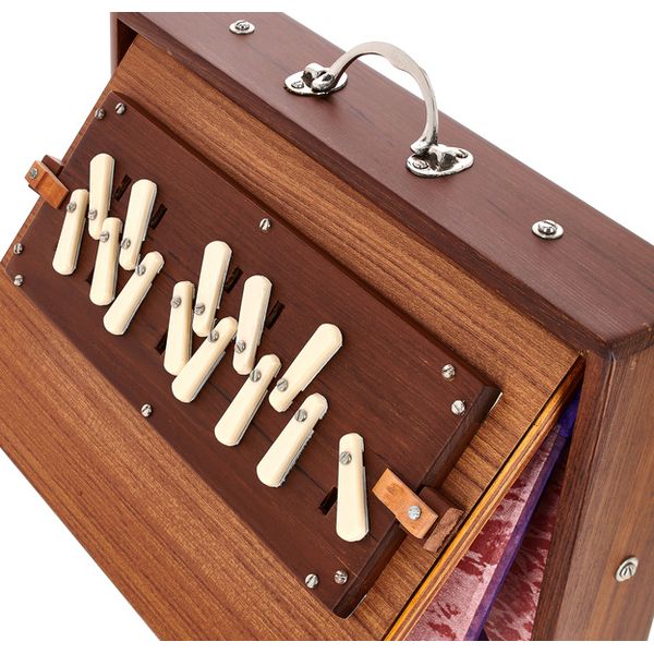 Thomann Nataraj Prof. Shruti C-C Small