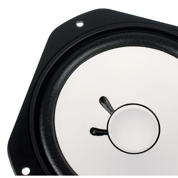 Avantone AV-10 Woofer