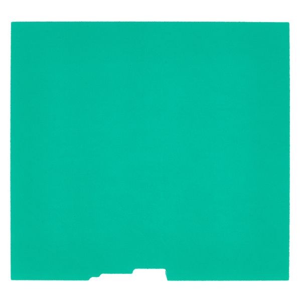 Thomann Inlay 2/2 ew-d Series