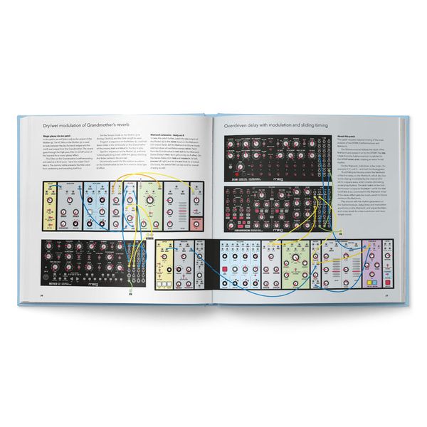 Bjooks Patch & Tweak With Moog