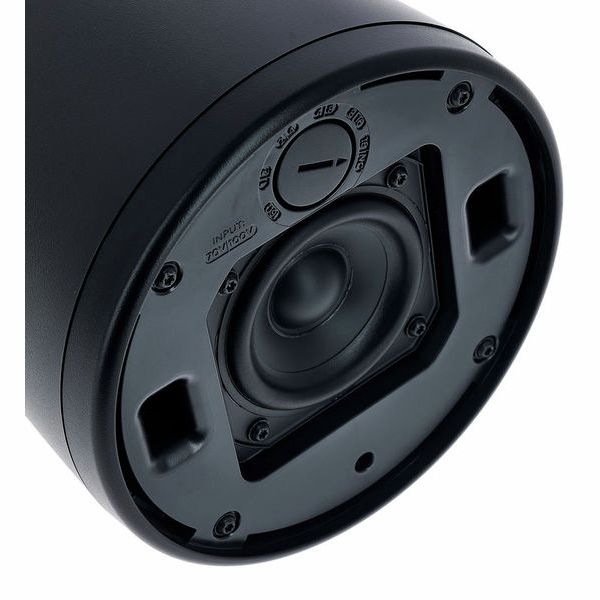 Bose Professional FreeSpace FS2P black