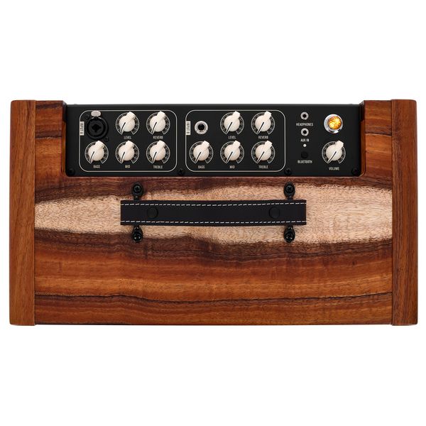 Taylor Koa Circa 74 Amp + Stand