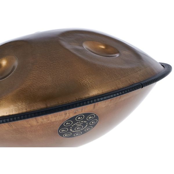 Sela Harmony Handpan D Kurd 201