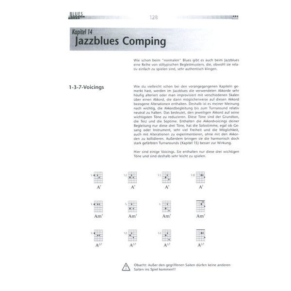 AMA Verlag Blues Guitar Rules