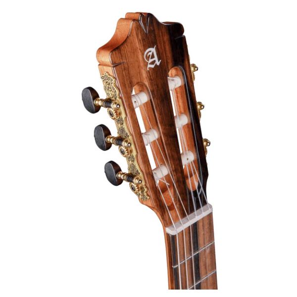 Alhambra Green Sustain Classical w/GBag