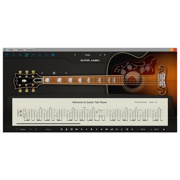 Ample Sound Ample Guitar SJ