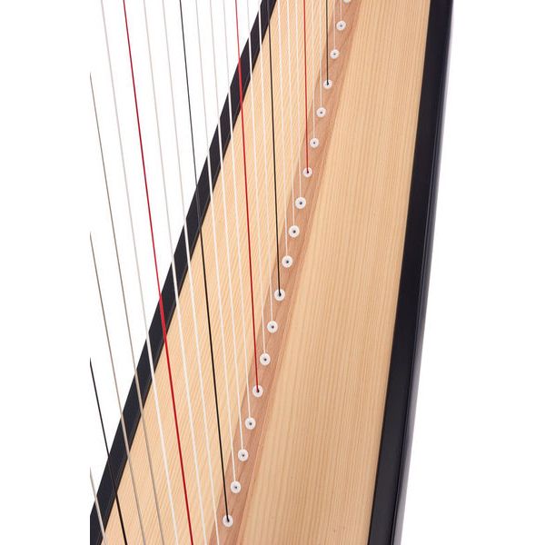 Salvi Hermes Ebony Sipario Biocarb.