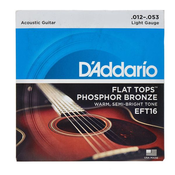 Daddario EFT16