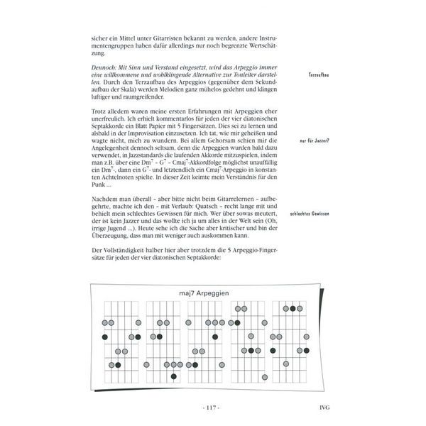 Voggenreiter In Vivo Guitar