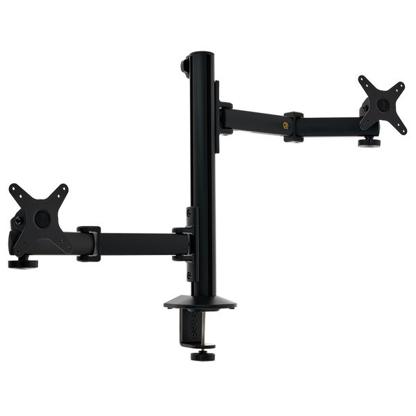 Roadworx TM-X 2x VESA Set