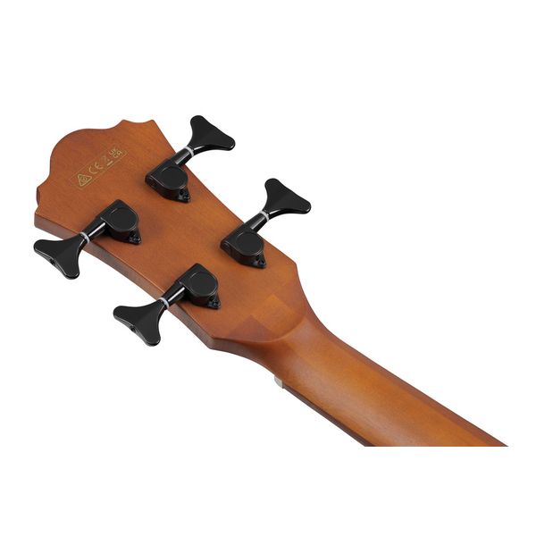 Ibanez AEGB24FE-MHS Fretless
