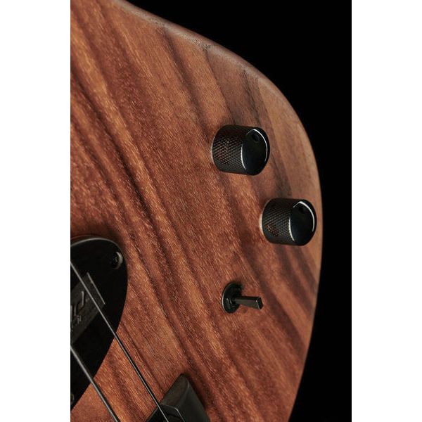 Franz Bassguitars Sirius 4 R. Gauck Signature FL