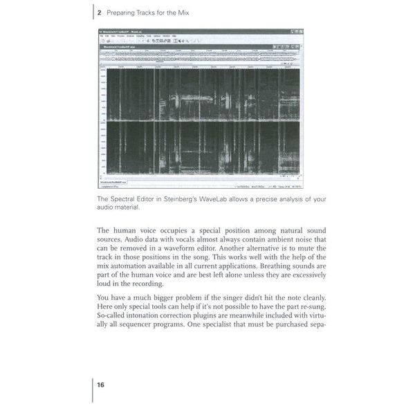Wizoo Publishing Mix&Mastering on The Computer