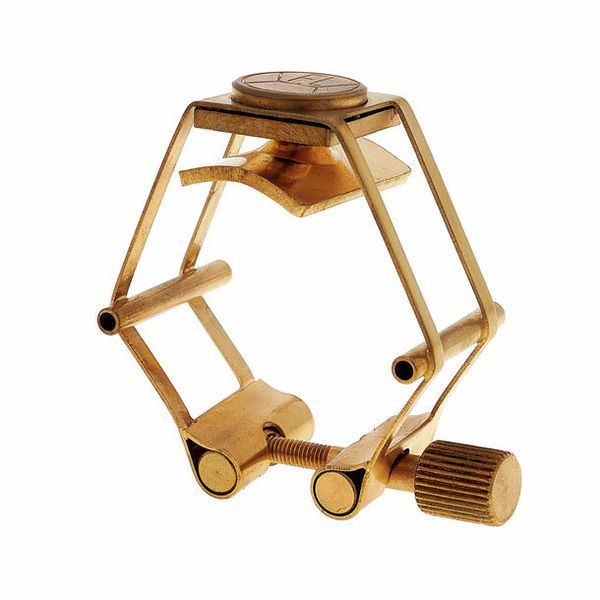 Francois Louis Pure Brass Alto Clarinet Gold