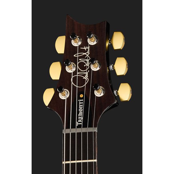 PRS Mark Tremonti FW 10 Top ST