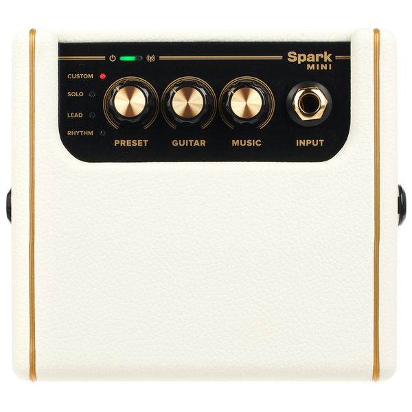 Positive Grid Spark Mini PW